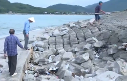Hà Tĩnh: Sạt lở kè biển kéo dài 500 mét, người dân lo lắng
