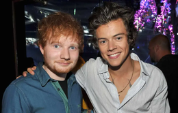 Ed Sheeran gọi Harry Styles là nghệ sĩ solo vĩ đại nhất thế giới