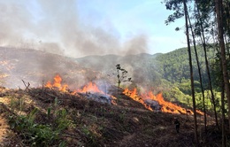 Cháy rừng xảy ra liên tiếp ở Quảng Trị