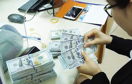 Moody's: Việt Nam có nhiều thuận lợi để tăng dự trữ ngoại hối
