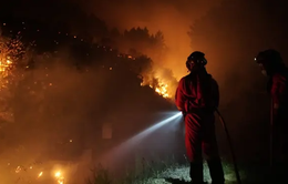Tây Ban Nha nỗ lực kiểm soát cháy rừng