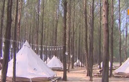 Thanh Hóa: Chặt rừng phòng hộ để làm khu du lịch cắm trại