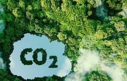 Việt Nam có nhiều tiềm năng để xây dựng thị trường carbon