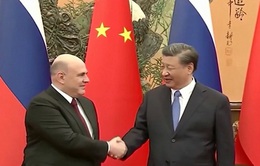Thủ tướng Nga gặp Chủ tịch Trung Quốc Tập Cận Bình