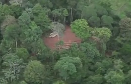Thành phố ven rừng Amazon đăng cai COP30