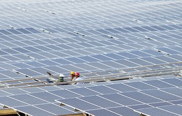 EVN công khai thông tin các dự án năng lượng tái tạo chuyển tiếp