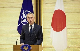 NATO dự kiến mở văn phòng liên lạc tại Nhật Bản