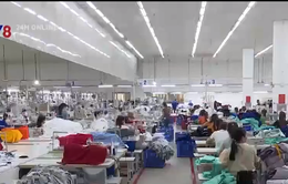 Quảng Nam: Gần 9000 tỷ đồng đăng ký đầu tư hạ tầng các khu công nghiệp