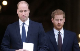Mối quan hệ giữa anh em Hoàng tử Harry - William tiếp tục bị chú ý