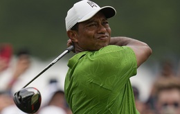 Tiger Woods bị cáo buộc quấy rối tình dục