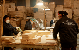 Ngành đồ gỗ Việt và hành trình chinh phục thị trường quốc tế
