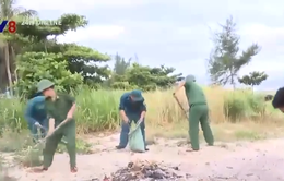 Đà Nẵng ra quân hưởng ứng tháng hành động vì môi trường
