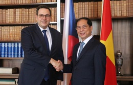 Việt Nam luôn coi trọng thúc đẩy quan hệ hữu nghị truyền thống và hợp tác nhiều mặt với Czech
