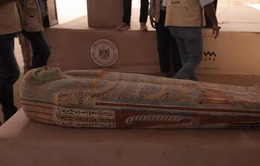 Phát hiện "xưởng" ướp xác Ai Cập 2.300 năm tuổi ở Saqqara