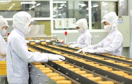 Kiểm soát an toàn thực phẩm mì ăn liền xuất khẩu sang EU