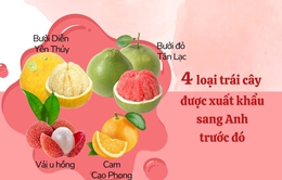 Các loại trái cây Việt Nam được xuất khẩu sang thị trường Anh