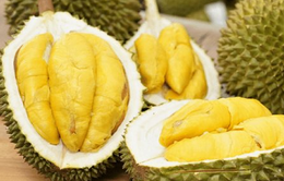 Nhiều trái cây Việt được người tiêu dùng Anh ưa chuộng