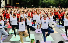 Hơn 1.000 người biểu diễn tại Festival chào mừng ngày Quốc tế Yoga
