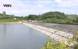 Nghệ An: Hồ chứa cạn nước, gây khó cho sản xuất