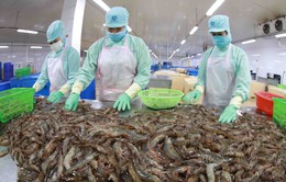Việt Nam xuất khẩu thủy sản nhiều nhất vào Mỹ