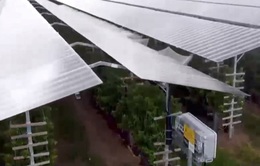 Lắp tấm pin năng lượng mặt trời thay thế mái các khu nhà lưới