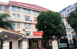 Cảnh cáo Đảng đoàn Liên minh HTX Việt Nam 2 nhiệm kỳ, khai trừ Đảng 2 Tỉnh ủy viên