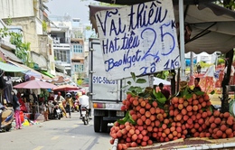Hơn 10.000 tấn vải thiều miền Bắc đổ về chợ đầu mối lớn nhất TP Hồ Chí Minh