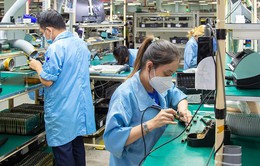 Kinh tế TP Hồ Chí Minh 6 tháng đầu năm tăng trưởng 3,55%