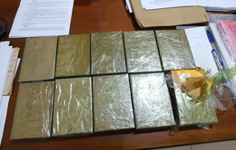 Thu giữ hơn 429 kg ma túy trong 6 tháng đầu năm