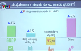 6 tháng đầu năm tăng trưởng kinh tế của Đà Nẵng suy giảm mạnh