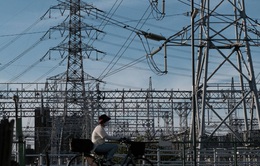 Chính phủ Nhật Bản cho phép 7 công ty điện tăng giá