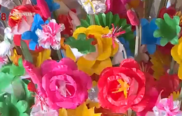 Sắc màu hoa giấy Thanh Tiên