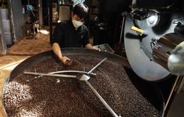 Thách thức ngành cà phê trước quy định mới của EU