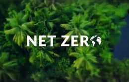 Net Zero không phải là “cuộc chơi xa xỉ”