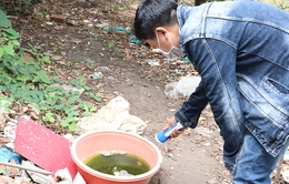Ngày Vệ sinh yêu nước nâng cao sức khỏe nhân dân 2/7: Thực hiện tốt vệ sinh cá nhân, vệ sinh môi trường để phòng bệnh
