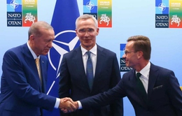 Khai mạc Hội nghị thượng đỉnh NATO: Ưu tiên giải quyết các thách thức