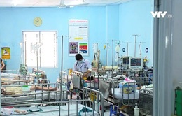 Số ca sốt xuất huyết ở Hà Nội, TP Hồ Chí Minh tăng, nguy cơ quá tải