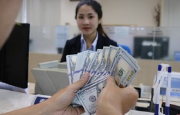 Kiều hối về TP Hồ Chí Minh đạt 4,4 tỷ USD