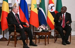 Tổng thống Nga Putin thảo luận về thỏa thuận ngũ cốc với Tổng thống Nam Phi