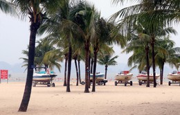 Ứng phó bão số 1: Quảng Ninh còn hơn 600 khách du lịch ở lại các đảo
