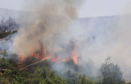 Cháy rừng hoành hành ở vùng Tây Bắc Athens, thiêu rụi nhiều nhà cửa
