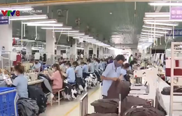 Phú Yên đảm bảo an toàn vệ sinh lao động cho công nhân