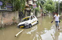 Mưa lớn gây thiệt hại nặng nề ở bang Gujarat, Ấn Độ