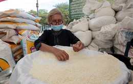 Thái Lan lo giá gạo tăng sau khi Ấn Độ hạn chế xuất khẩu