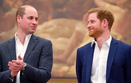 Cùng tham dự lễ trao giải Diana, Hoàng tử William - Harry vẫn không trò chuyện