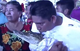 Thị trưởng ở Mexico kết hôn với cá sấu