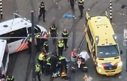 Ba người bị thương trong vụ nổ súng ở thành phố Rotterdam của Hà Lan