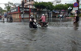 Mưa lớn gây thiệt hại ở Tây Nguyên, Nam Bộ