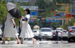 Số người tử vong do nắng nóng tại Hàn Quốc tăng mạnh