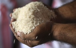 Thêm 2 nước cấm xuất khẩu gạo